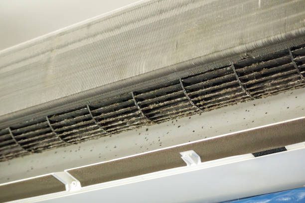 Best HVAC System Cleaning  in Kirkwood, MO